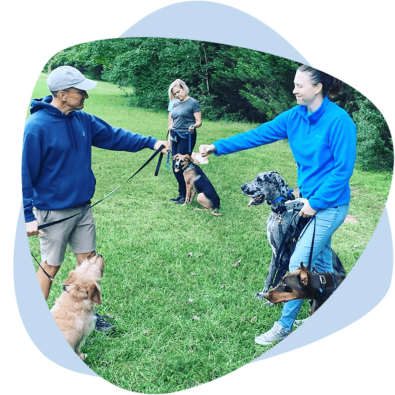 Canine Obedience Training In The Atlanta Area