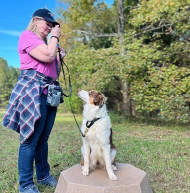 Take dog training sessions with our handpicked selection of premium gear