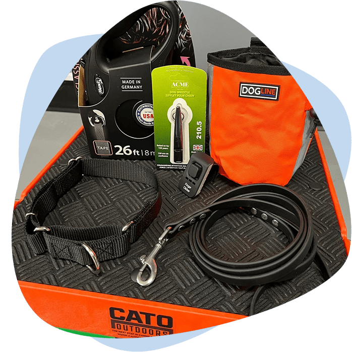 Premium gear for dog training